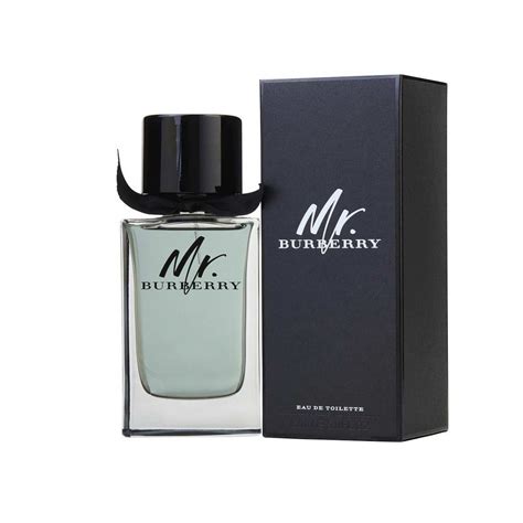 mr. burberry eau de toilette|Burberry eau de toilette men.